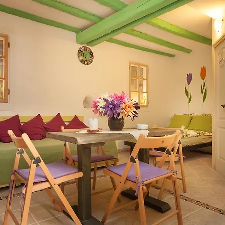 With Garden In Apartment *